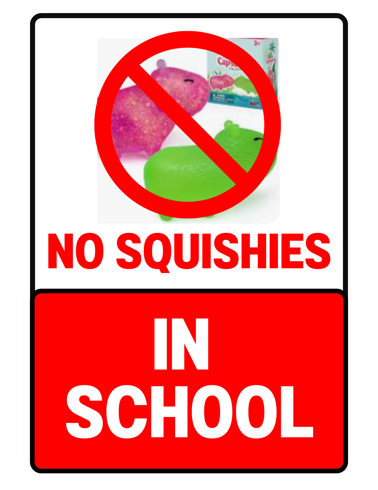 Sign that says "no squishies in school"